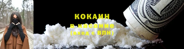 шишки Вязьма