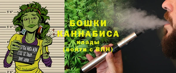 шишки Вязьма