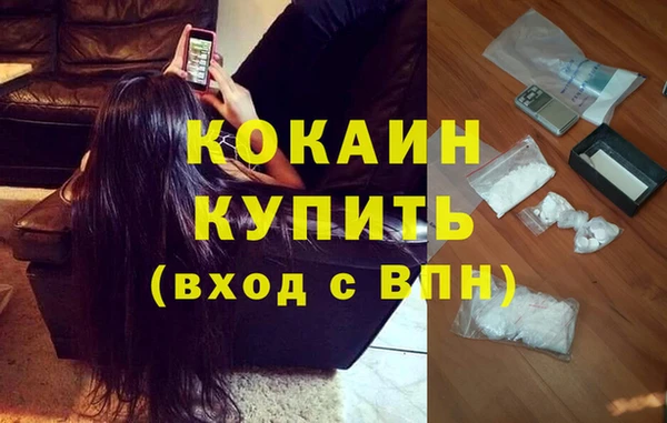 шишки Вязьма