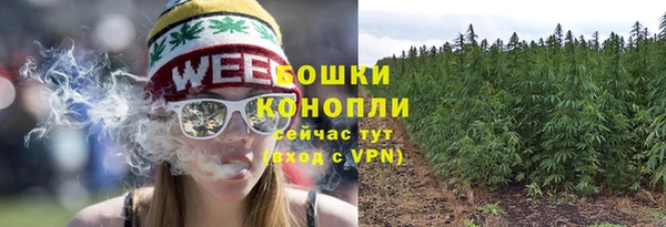 шишки Вязьма