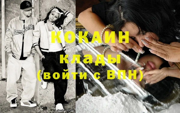 шишки Вязьма