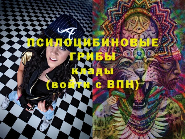 бошки Вяземский